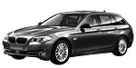 BMW F11 P1987 Fault Code